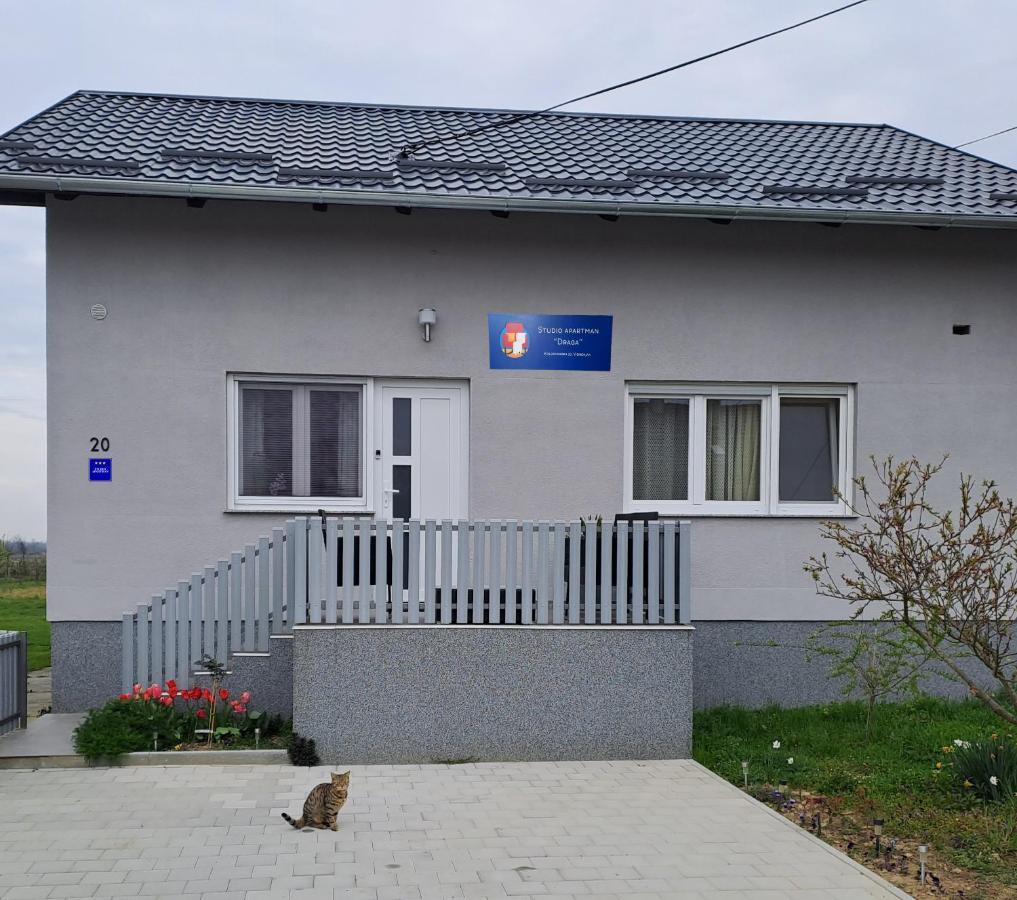 Studio Apartman Draga Velika Ludina Dış mekan fotoğraf