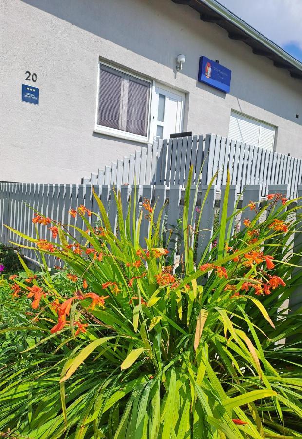 Studio Apartman Draga Velika Ludina Dış mekan fotoğraf