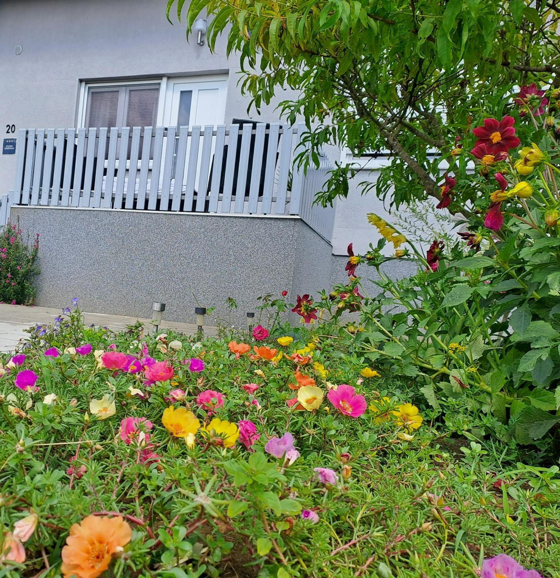 Studio Apartman Draga Velika Ludina Dış mekan fotoğraf